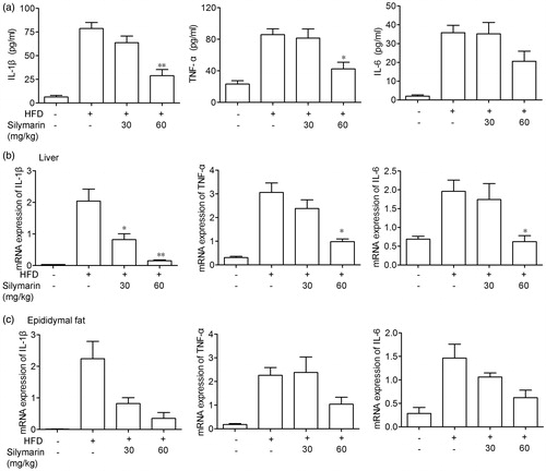 Figure 5. Silymarin counteracted inflammation in HFD-induced obesity mice. Mice were fed with NCD or HFD for 14 weeks, then treated with silymarin for 3 weeks. (a) TNF-α, IL-6 and IL-1β in serum were tested by ELISA. (b,c) mRNA levels of TNF-α, IL-6 and IL-1β in liver (b) and epididymal fat (c) were examined by RT-PCR. Values are presented as means ± SD (n = 8). *p < 0.05 and **p < 0.01 compared to HFD group.