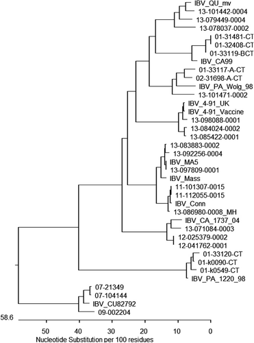 Figure 1. Phylogenetic tree representing the diversity of IBV strains in Canada between 2000 and 2013. Bootstrap trials = 1,000, seed = 111. The three most recent samples for each genotype were used. The first two digits of the sequence title represent the year of detection.