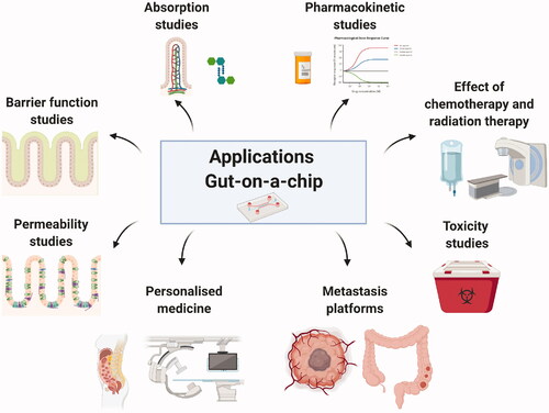 Figure 2. Applications of the gut-on-a-chip technology. Created with BioRender.com.