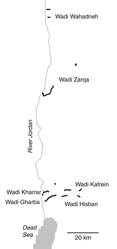 Figure 1. Distribution of transects in the study area; lines indicate clustering of more than one transect along the wadis, see text for details.