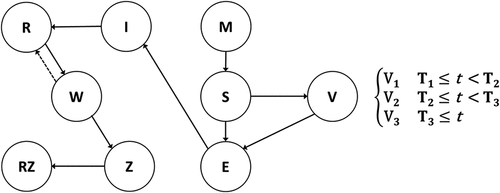 Figure 1. MSEIVR dynamic transmission model diagram with switching vaccines.