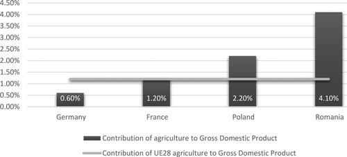 Figure 3. Contribution of agriculture to GDP (%). Source: author's contribution.