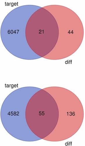 Figure 4. (a) Venn diagram of common differentially expressed genes from the two datasets. DE-mRNAs were down-regulated in the dataset. (b) Venn diagram of common differentially expressed genes from the two datasets. DE-mRNAs were up-regulated in the dataset