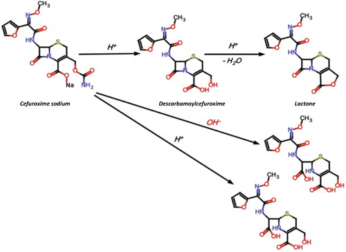 Figure 1. Degradation pathway of cefuroxime sodium (Wang & Notari, Citation1994).