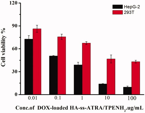 Figure 6. Cell viability of HepG-2 and 293T cells treated with DOX-loaded HA-ss-ATRA/TPENH2 HNPs after 48 h.