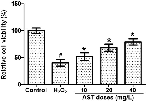 Figure 1. Effect of different AST concentrations on the viability of ARPE-19 cells treated with 200 µmol/L H2O2. Note. MTT assay was performed after treatment with H2O2 for 24 h, following pre-incubation with 10, 20 and 40 µg/L AST for 1 h. Relative cell viability was calculated from the optical density value at 472 nm against that of the control group. #, p < 0.05 compared with control; *, p < 0.05 compared with H2O2 group.