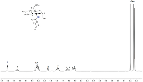 Figure 2. The 1H NMR spectrum of the allyl glucosamine monomer (AG).