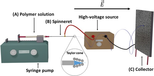 Figure 2. Basic electrospinning setup where a polymer solution (A) is pumped out of a syringe while a strong electric field is applied with a high-voltage source on the needle (B) and the collector (C), leading to the ejection of a fine fiber.