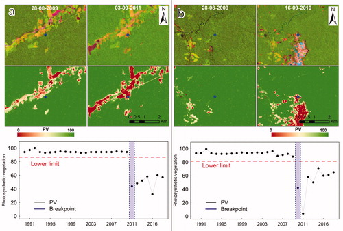 Figure 3. Examples of time series of forests that have been deforested (points in blue). The Landsat images in the top row are in combination SWIR2, NIR and RED. The middle row contains the PV fractions scaled between 0 and 100. Finally, the lower row shows the detections made by the PVts-β approach with β = 5. The PV series were smoothed, before detecting deforestation, with the “smootH” function (see Appendix B).