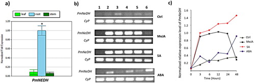 Figure 3. The relative expression level of PmNeDH gene. (a) Expression analysis of PmNeDH in different tissues of P. minor via qRT-PCR. P. minor plants used in this experiment were obtained from experimental field (3°16′14.63″”N, 101°41′11.32″”E). The transcript levels of PmNeDH are presented relative to the amount of β-actin and Tubulin. The data are shown as the mean ± SE (n = 3), in arbitrary units. *, P < 0.05 represents the significant difference as analyzed by Tukey’s test. (b) The RT-PCR products for the PmNeDH and the housekeeping gene CyP on 1.5% of agarose gel. The period of treatment was numbered on top, where 1: 0 h; 2: 3 h; 3: 6 h; 4:12 h; 5: 24 h; 6: 48 h. (c) Semi-quantitative analysis of PmNeDH gene expression after the treatment of phytohormones.