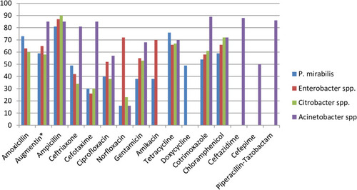 Figure 12 Percentage of P. mirabilis, Enterobacter species, Citrobacter species, and Acinetobacter species resistant to different antibiotics commonly in use in Ethiopian settings.