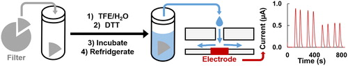 Figure 1. Schematic of the filter extraction and electrochemical assay. A filter piece is cut and massed, extracted into TFE/water, then DTT in phosphate buffer is added for a known PM concentration. The solution in incubated at 37 °C and then thermally quenched in 5 °C fridge. Aliquots are removed and analyzed with flow injection chronoamperometry. Example data shown where the peak current is decreasing over time, with replicates.