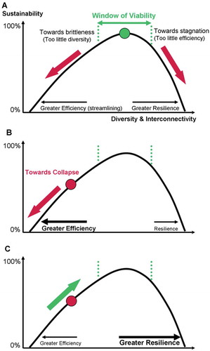 Figure 1. Housing sustainability and complex flow networks as function of the trade-offs between efficiency and resilience.Based on: Lietaer et al. (Citation2009).