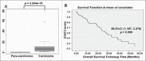 Figure 8. STAT3 levers in samples correlated with overall survival E. STAT3 mRNA levels were detected in lung adenocarcinoma tissues and para-carcinoma tissues (n = 18) by qRT-PCR. F. Overall survival was determined through Kaplan–Meier survival analysis.