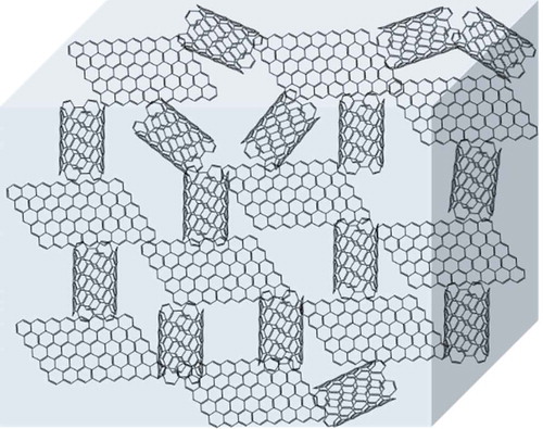 1D functionalized multi-wall carbon nanotube (FMWCNT) and 2D reduced graphene oxide (RGO) were used to construct 3D conductive network, and then mixed with a hybrid polymer matrix; a relative high conductivity of 35.9 S m−1 was achieved for this conductive polymer composites.
