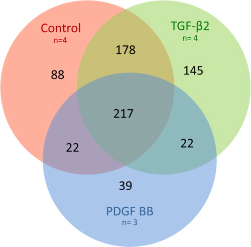 Fig. 4 Venn diagram of microarray results. Overlapping circles demonstrating the number of gene transcripts in common, partially in common or unique to each specific exosome treatment group. Of the significant transcripts, 217 were common for all 3 treatment groups, 88 were unique for the control exosomes, 145 unique for the TGF-β2 exosomes and 39 unique for the PDGF-BB exosomes. The control group and TGF-β2-treated group shared 178 transcripts, the TGF-β2-treated group and PDGF-BB-treated group shared 22 transcripts and the PDGF-BB-treated group and control group shared 22 transcripts. Red circle: control exosomes, green circle: TGF-β2-derived exosomes and blue circle: PDGF-BB-derived exosomes.