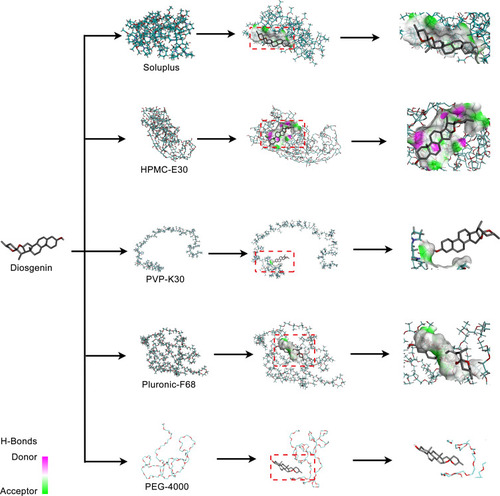 Figure 10 Molecular docking of Dio with excipients.