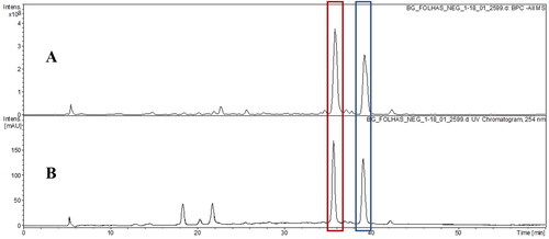 Figure 3. Base peak chromatogram (BPC) in negative ion mode (A) and UV chromatogram in 254 nm (B) of hydroethanolic extract from of B. guianensis leaves by HPLC-DAD-ESI-MSn.