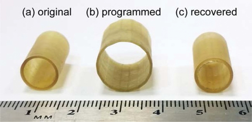 Figure 13. (a) a hollow PPP tube was manufactured and (b) programmed to 62% circumferential strain at 175°C within 10 min. (c) The PPP tube demonstrated complete shape recovery when reheated to 200°C, reprinted with permission from [Citation62], copyright Wiley 2016.