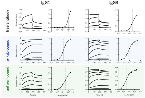 Figure 5. Antibody-FcγR association and dissociation profiles by BLI across assay configurations.