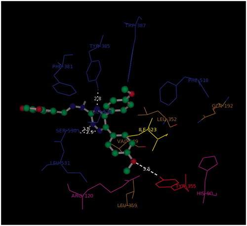 Figure 5. 3D model of the orientation of G11 (ball and stick) in COX-1 active site (blue: hydrophobic pocket, red: Tyr353, yellow: responsible for the COX-2 selectivity, purple: selectivity pocket).