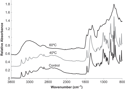 FIGURE 3 FTIR-ATR spectra for ascorbic acid samples stored at 60°C for eight weeks with 50 mol initial water/mol solid and 40°C for five weeks with 1.0 mol initial water/mol solid as compared to the control (no storage treatment).