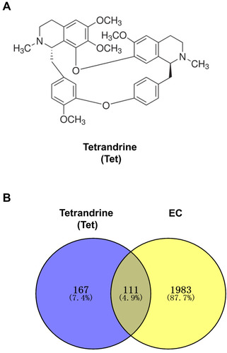 Figure 2 (A) Chemical structure of tetrandrine. (B) Venn diagram of tetrandrine targets and endometrial cancer targets.