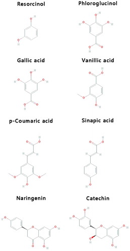 Figure 1. Selected phenolic compounds for HPLC-MS analysis of pistachio hull extract.