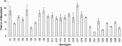 Figure 4. Total number of tillers/plant of 27 blast-resistant genotypes. Each column represents mean with standard error of each genotype; n = 3. G1, Black Banni; G2, Blau Noc; G3, Chirikata 2; G4, Choke Tang; G5, Chokoto 14; G6, IPPA; G7, IR 3257-13-56; G8, IR 5533-13-1-1; G9, IR 5533-14-1-1; G10, IR 5533-15-1-1; G11, IR 5533-50-1-10; G12, IR 5533-55-1-11; G13, IR 5533-56-1-12; G14, IR 5533-PP 854-1; G15, IR 9559-3-1-1; G16, IR 9559-4-1-1; G17, IR 9559-PP 871-1; G18, IR 9669-22-2-6; G19, IR 9669-PP 823-1; G20, Ja Hau; G21, Ja No Naq; G22, C; G23, F1 seed (BR16 × Karingam); G24, BR26; G25, BRRI dhan42; G26, BRRI dhan43; G27, BRRI dhan48.