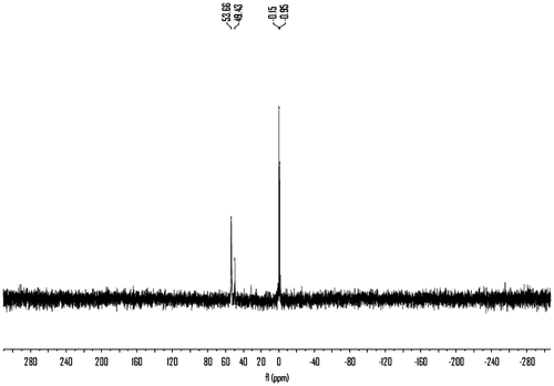 Figure 11. 31P NMR spectra of polymer 6b.