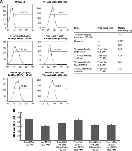 Figure S5 Competition binding, uptake and cell viability assays.Notes: After a 24 h preincubation with free HApt (0.5 or 1.0 μM), the media were refreshed and SKBR3 cells were incubated with HApt-MNPs (100 nM HApt) for 24 h. Uptake was assessed by determining percentage of fluorescent cells using flow cytometry. (A) Pretreatment with 1.0 μM free HApt decreased the efficiency of HApt-MNP uptake (Texas red-labeled, TA-HApt-MNPs) by 36.1% (from 78.5 to 42.4%) compared to cells treated with only HApt-MNPs. (B) Pretreatment with 1.0 μM free HApt increased the number of viable cells (10.6%) compared to cells treated with only HApt-MNPs (40.2%). Mean ± SD values for three independent experiments are presented. Preincubation with the control NCApt had no significant effects on HApt-MNP uptake or cell viability.Abbreviations: HApt, human epidermal growth factor receptor 2 aptamer; MNPs, micelle-like nanoparticles; NCApt, negative control aptamer; TA, Texas red.
