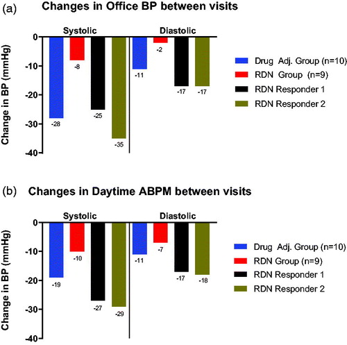Figure 1. (a) Title: ‘Changes in office BP between visits’. The y-axis denotes the overall reduction in blood pressure in mmHg from baseline to the 6 month visit. Below each column, the exact number in mmHg is shown. The x-axis is split into two segments: ‘Systolic’, denoting systolic blood pressure, and ‘Diastolic’, denoting diastolic blood pressure. The Drug Adjustment group (n = 10) is shown in blue colour, the RDN group (n = 9) is shown in red colour, while RDN responder 1 is shown in black and RDN responder 2 in brown colour. (b). Title: ‘Changes in daytime ABPM between visits’. The y-axis denotes the overall reduction in blood pressure in mmHg from baseline to the 6 month visit. Below each column, the exact number in mmHg is shown. The x-axis is split into two segments: ‘Systolic’, denoting systolic blood pressure, and ‘Diastolic’, denoting diastolic blood pressure. The Drug Adjustment group (n = 10) is shown in blue colour, the RDN group (n = 9) is shown in red colour, while RDN responder 1 is shown in black and RDN responder 2 in brown colour.