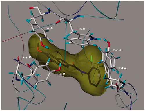 Figure 5. 3D representation of the binding mode of the most potent inhibitor 21 at the active sites of AChE.