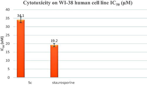 Figure 4. In-vitro cytotoxicity (IC50) of compound 5c and staurosporine on WI-38 human cell line.
