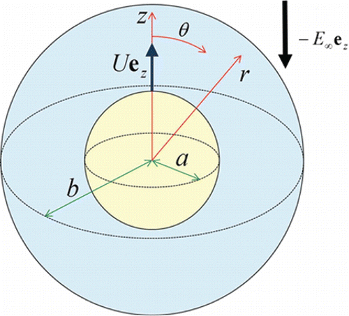 Figure 1. Geometrical sketch for the thermophoresis of an aerosol sphere in a concentric spherical cavity.