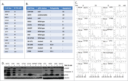 Figure 1. PLK1 inhibitor TAK-960 induces growth suppression by target specific inhibition. (A) (i) IC-50 values of TAK-960 in 15 different Sarcoma cell lines. IC-50s were determined by cell proliferation assay by using the Dojindo Cell Counting Kit done in 6 replicates. (B) Sarcoma cell lines were treated with TAK-960 (50 nM) for 48 hours and % of cells showing polyploidy (>4N) or apoptosis (<2N) were determined and quantitated by flow cytometry analysis. (C) Sarcoma cell lines were treated with TAK-960 (50 nM) for 48 hours and distribution of cell cycle phases sub G1 (apoptosis or <2N), G1 (2N), G2 (4N) and polyploidy (>4N). (% of cells showing polyploidy (>4N) or apoptosis (<2N) were determined by flow cytometry analysis. (D) Sarcoma cell lines mentioned were treated with TAK-960 (25 nM) for 24 hours and the total protein lysates were probed with antibodies, as indicated. Tubulin was used to confirm equal loading of protein. Results shown are representative or the mean of 3 or more independent experiments.