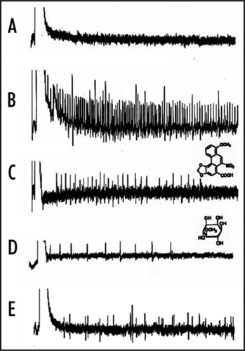 Figure 3 Electrophysiological responses to the plant compounds recorded from tarsal contact chemosensilla in a female A. alcinous. (A) Responses to control solution [containing 5% dimethyl sulfoxide (DMSO) and 50 mM choline chloride]. (B) Responses to the methanolic extracts of Aristolochia debilis. (C) Responses to aristolochic acid. (D) Responses to sequoyitol. (E) Responses to the methanolic extracts of A. debilis after ten minute treatment with antiserum against OSBP.