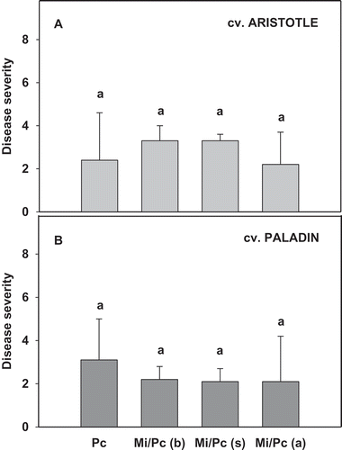 Fig. 1 Effects of Phytophthora capsici and Meloidogyne incognita co-inoculation as compared with P. capsici alone on Phytophthora blight severity in two bell pepper cultivars: (a) ‘Aristotle’ and (b) ‘Paladin’. Mean values presented were combined results from two experiments (experiment × treatment, P = 0.38; N = 20). Pc = P. capsici and Mi = M. incognita. Mi/Pc (b), Mi/Pc (s), and Mi/Pc (a) indicate M. incognita was inoculated before, at the same time as, and after P. capsici, respectively. Treatments within each cultivar with different letters are significantly different according to the Fisher’s protected least significant difference (P ≤ 0.05) test. Error bars are standard errors of the means of two experiments.