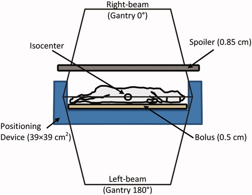Figure 5. Irradiation geometry. The linear accelerator is calibrated to deliver dose at the Isocenter. The mid-depth of the animal is placed at isocenter, and two lateral beams (above and below the animal, at gantry 0° and 180°, respectively) are used. The animals are held within the radiation field’s maximal 40 × 40 cm2. Dose at shallow depths in the animal is enhanced using the bolus (underneath animal) and beam spoiler (∼5 cm above animal). The isocentric design of the irradiation technique allows for rotating the gantry between beam deliveries without requiring manual adjustments to the setup in mid-delivery.