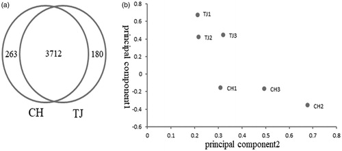 Figure 2. Analyses of differentially expressed lncRNAs between Charolais cattle and Tongjiang cattle. (a) Venn diagram of expressing lncRNAs in both CH and TJ breeds (b) PCA score plot of six samples. CH: Charolais; TJ: Tongjiang.