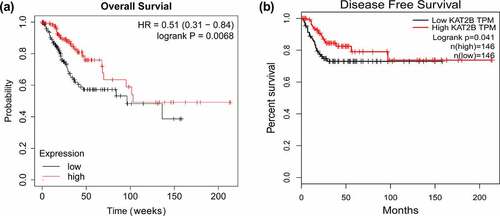 Figure 2. Kaplan-Meier analysis of overall survival and disease-free survival