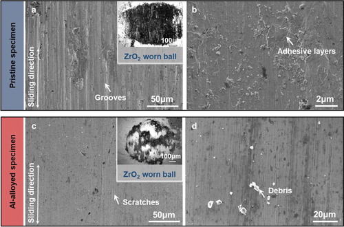 Figure 4. Worn surface morphologies of the pristine specimen (a, b) and Al-alloyed specimen (c, d). The insets in (a) and (c) are optical micrographs of the corresponding worn balls after wear tests.