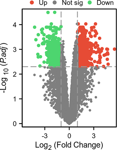 Figure 1 The map of the gene volcano highlights how genes are distributed across these disease samples. Green and red respectively highlight the up-regulated genes (logFC>0) and down-regulated genes (logFC < 0), while gray highlights the absence of significant differences.