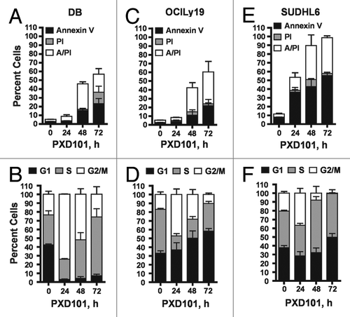 Figure 1. The cytotoxic response to PXD101. DB (A and B), OCI-Ly19 (C and D), and SUDHL6 (E and F) cells were treated with PXD101 at the IC50 concentrations determined for each as shown in Table 1. At 0, 24, 48, and 72 h treatment cells were harvested and subjected to Annexin V/PI assay (A, C, and E) or cell cycle analysis (B, D, and F). The graphs shown represent the results of 3–4 independent experiments. Error bars represent SEM.