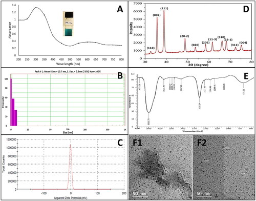 Figure 2. Characterisation of CuO-NPs, (A) Uv-visible, (B) DLS pattern, (C) Zeta potential, (D) X-ray diffraction pattern (XRD), (E) FTIR spectrum and (F) transmission electron microscopic (TEM) [(F1) dispersed in distilled water, (F2) dispersed in glycerol].