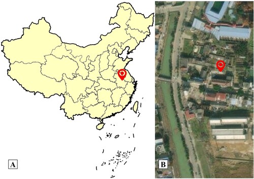 Figure 1. A: A map that shows the hot spring from Anhui Province, China; B: Sampling location in the town of Bantang, satellite photo. Red marks the location of the Bantang hot spring (31°38′ 50.05″N, 117°54′50.21″E).