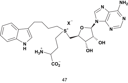 Scheme 27.  Synthetic transition-state analog of indole N-methyltransferase (INMT).