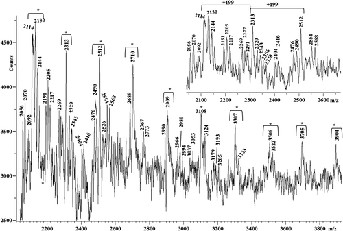 Figure 6. Matrix-assisted laser desorption/ionization time-of-flight (MALDI-TOF) mass spectrum of the R silk.