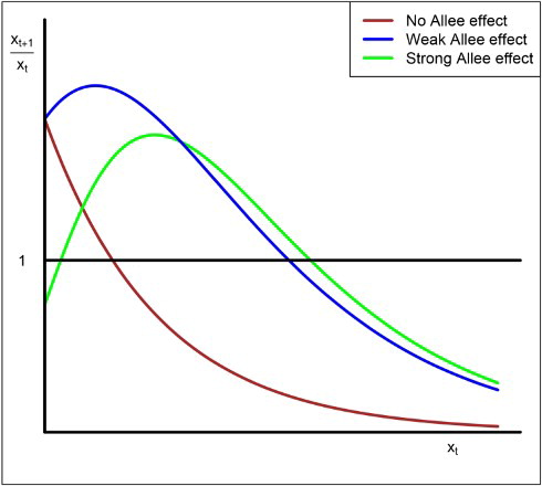 Figure 1. The graph shows the growth rate per capita as a function of the density (size) of the population. The three curves represent the cases of no Allee effect (brown), weak Allee effect (blue) and strong Allee effect (green).