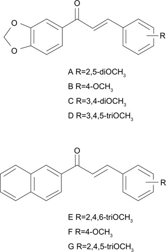 Figure 2 Structure of chalcones with a 3,4-methylenedioxy-phenyl or a 2-naphthyl group as A-ring, and methoxy substituents on the B-ring.